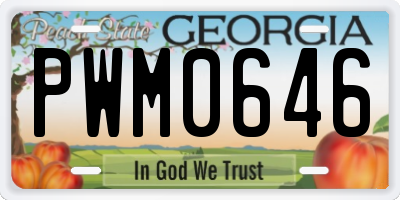 GA license plate PWM0646