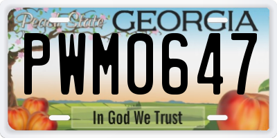 GA license plate PWM0647