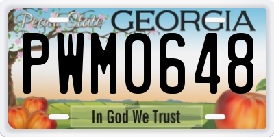 GA license plate PWM0648