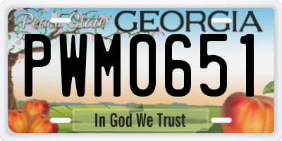 GA license plate PWM0651