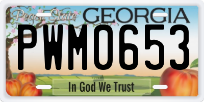 GA license plate PWM0653