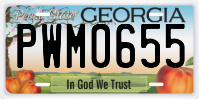 GA license plate PWM0655