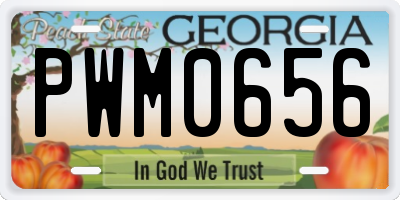 GA license plate PWM0656