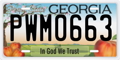 GA license plate PWM0663