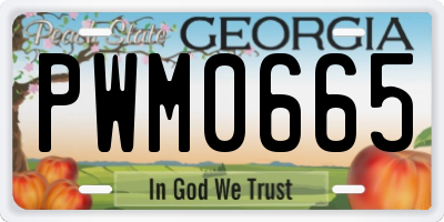 GA license plate PWM0665