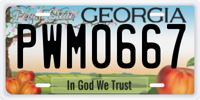 GA license plate PWM0667