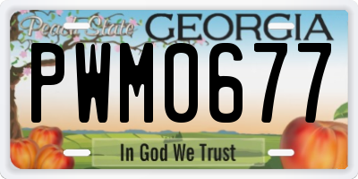 GA license plate PWM0677