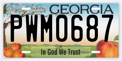 GA license plate PWM0687