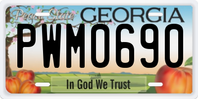 GA license plate PWM0690