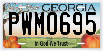 GA license plate PWM0695
