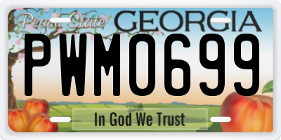 GA license plate PWM0699