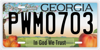 GA license plate PWM0703