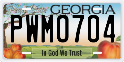 GA license plate PWM0704