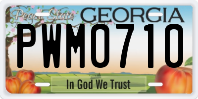 GA license plate PWM0710