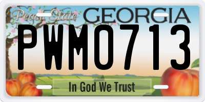 GA license plate PWM0713