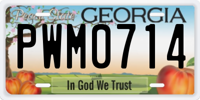 GA license plate PWM0714