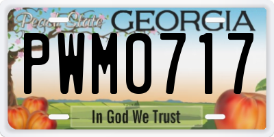 GA license plate PWM0717