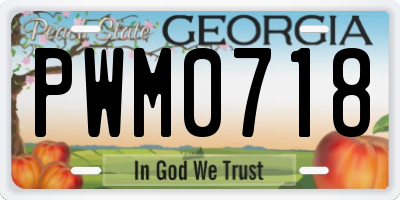 GA license plate PWM0718