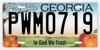 GA license plate PWM0719