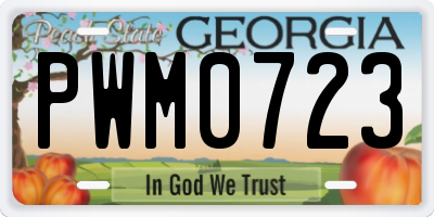 GA license plate PWM0723