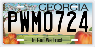 GA license plate PWM0724
