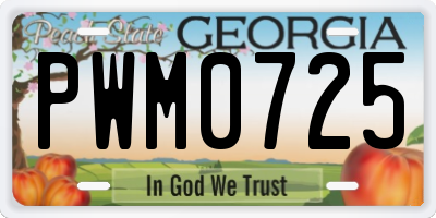 GA license plate PWM0725