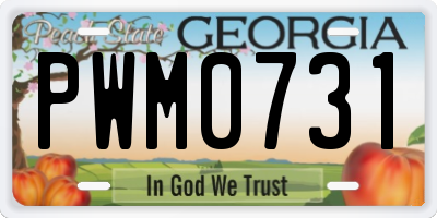 GA license plate PWM0731