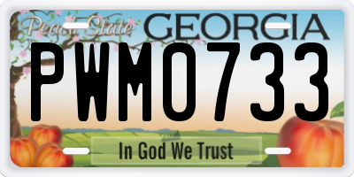 GA license plate PWM0733