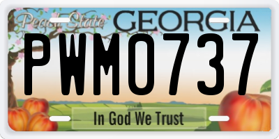GA license plate PWM0737