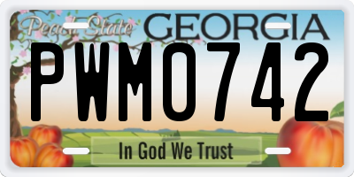 GA license plate PWM0742