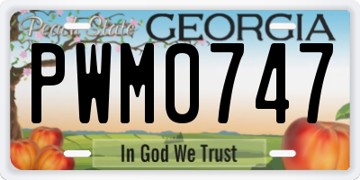 GA license plate PWM0747