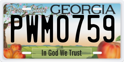 GA license plate PWM0759
