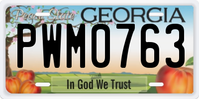 GA license plate PWM0763