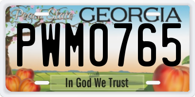 GA license plate PWM0765