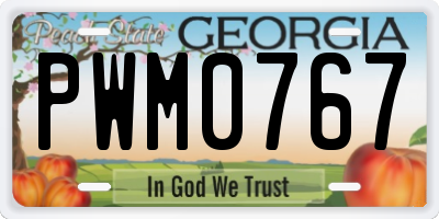 GA license plate PWM0767