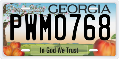 GA license plate PWM0768