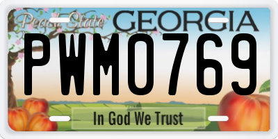 GA license plate PWM0769