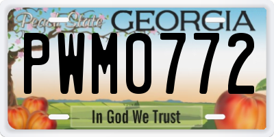 GA license plate PWM0772