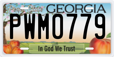 GA license plate PWM0779