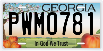 GA license plate PWM0781
