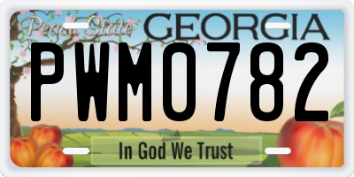 GA license plate PWM0782