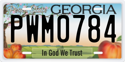 GA license plate PWM0784