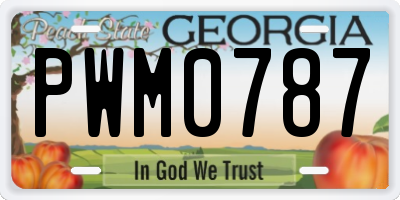 GA license plate PWM0787