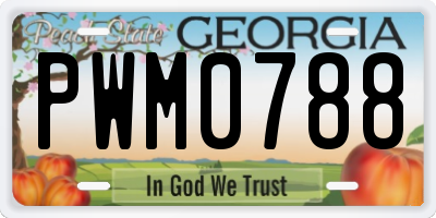 GA license plate PWM0788