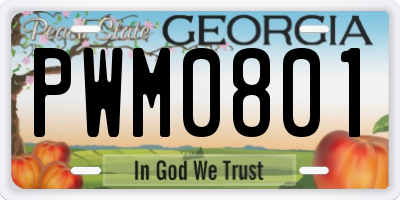 GA license plate PWM0801