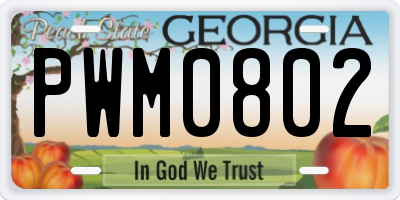 GA license plate PWM0802