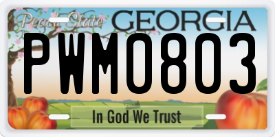 GA license plate PWM0803