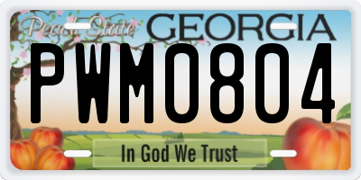 GA license plate PWM0804