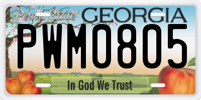 GA license plate PWM0805