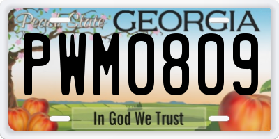 GA license plate PWM0809